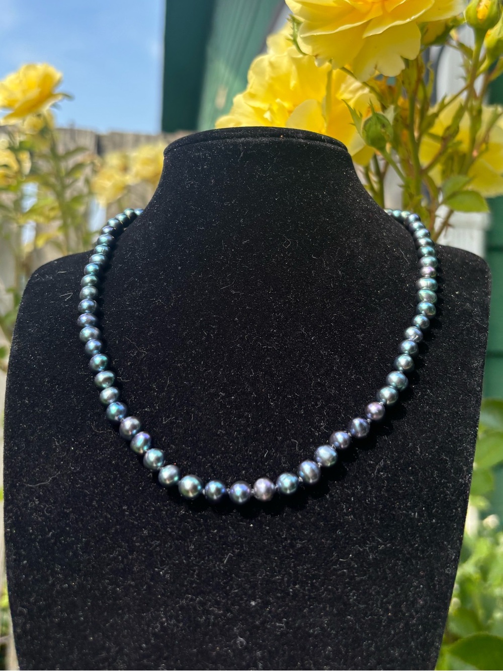 Black Peacock Pearl Necklace.